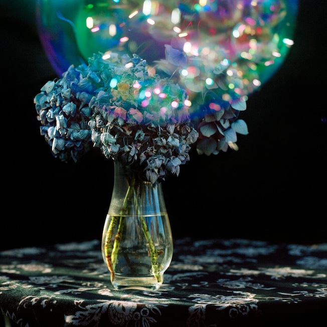 Yveline Loiseur, Sans titre 2, 2025, 60 x 60 cm et 70 x 88 cm, tirage Fine Art sur papier Hahnemühle contrecollé sur dibond, caisse américaine ; de l’ensemble Le Langage des fleurs et des choses muettes, 2003-25. @ Galerie Françoise Besson Yveline Loiseur, Sans titre 2, 2025, 60 x 60 cm et 70 x 88 cm, tirage Fine Art sur papier Hahnemühle contrecollé sur dibond, caisse américaine ; de l’ensemble Le Langage des fleurs et des choses muettes, 2003-25. @ Galerie Françoise Besson