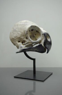 Perruche ondulée, bronze, 2014 © Quentin Garel Perruche ondulée, bronze, 2014 © Quentin Garel