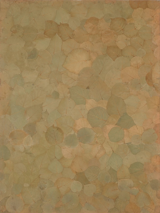Potagerie Teck, 2012, feuilles de teck, 180 x 135 cm. © Cyrille Cauvet Potagerie Teck, 2012, feuilles de teck, 180 x 135 cm. © Cyrille Cauvet