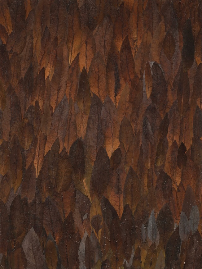 Potagerie Consoude, 2012, feuilles de Consoude, 180 x 135 cm. © Cyrille Cauvet Potagerie Consoude, 2012, feuilles de Consoude, 180 x 135 cm. © Cyrille Cauvet