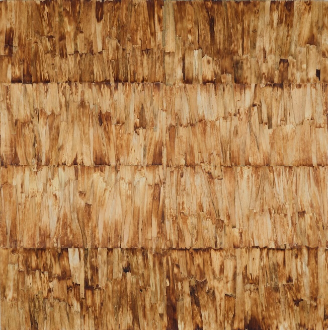 Potagerie de poireaux, 2007, blancs et verts de poireaux alignés, 180 x 180 cm. © Cyrille Cauvet Potagerie de poireaux, 2007, blancs et verts de poireaux alignés, 180 x 180 cm. © Cyrille Cauvet