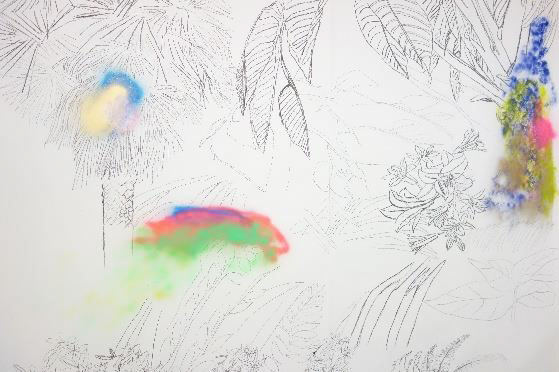 Pebayuran, 2015-2016, dessin mural, fusain & peinture spray, dimensions variables Pebayuran, 2015-2016, dessin mural, fusain & peinture spray, dimensions variables