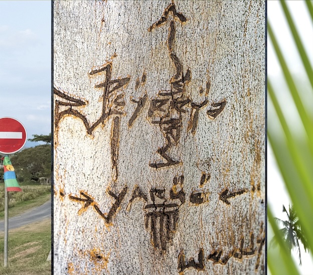 Valaurie (26), Maison de la tour : Alain Roth. Estafilades en Nouvelle-Calédonie. Expo du 14/11/25 au 25/01/26