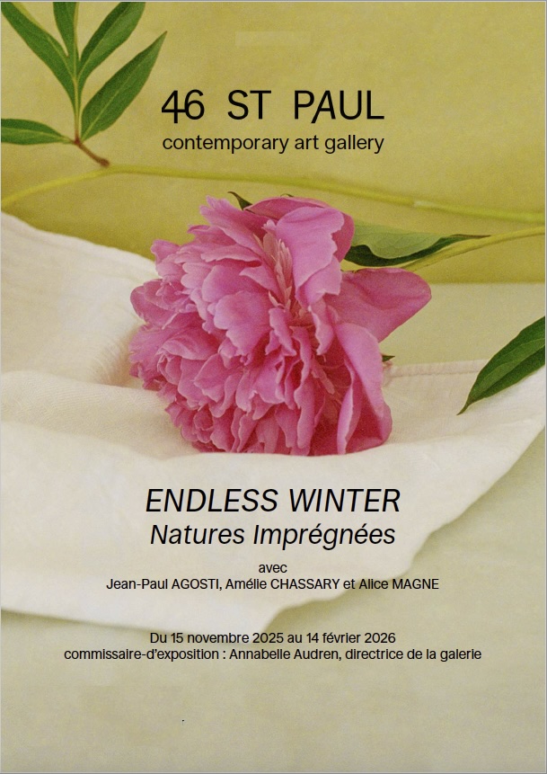 Saint-Paul de Vence, 46 St Paul Gallery : « Endless Winter. Natures Imprégnées ». Jean-Paul Agosti, Amélie Chassary, Alice Magne. 15/11/2025 au 14/2/2026