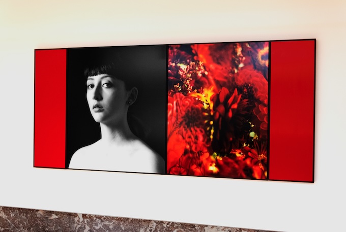 Marie-Jo Lafontaine, L’Art lave notre âme de la poussière du quotidien, 2023, photographies, Diasec, cadre en chêne poli et monochromes (huile sur MDF poli), 150 x 347 cm