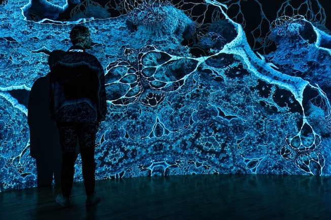 Hicham Berrada, Les Augures à la Hayward Gallery