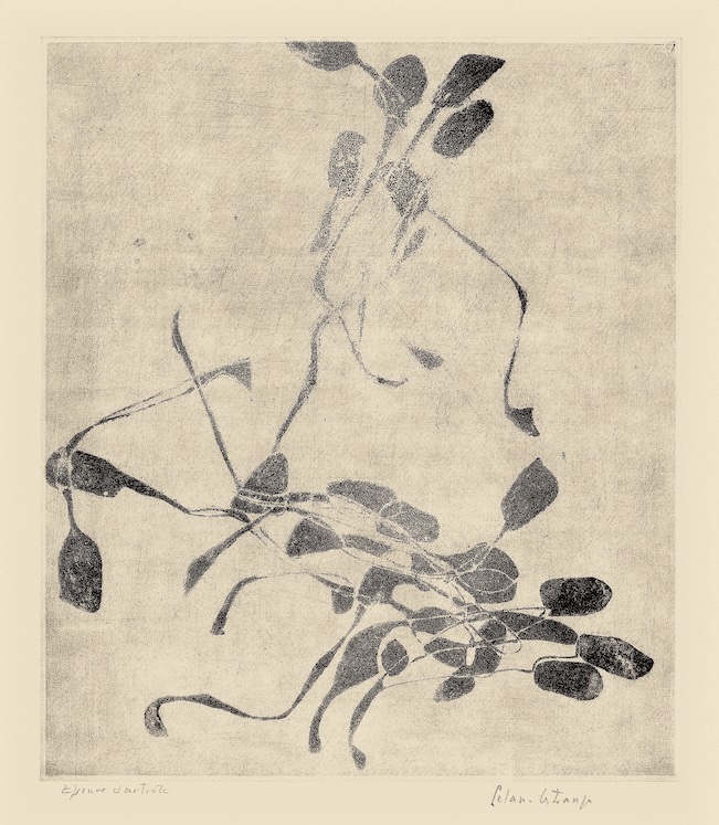 Paris, Galerie Librairie Métamorphoses : Exposition Gisèle Celan-Lestrange, « Sur le grand chemin ». Du 10 février au 28 mars