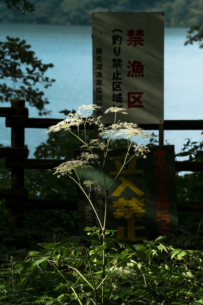Hideki Umezawa, Haruna Lake #2