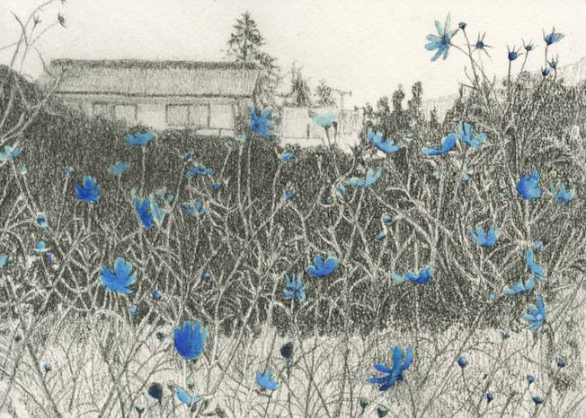 « La jeune garde à l’honneur ». Festival du dessin d'Arles, Chapelle du Méjan du 18 avril au 17 mai 2026