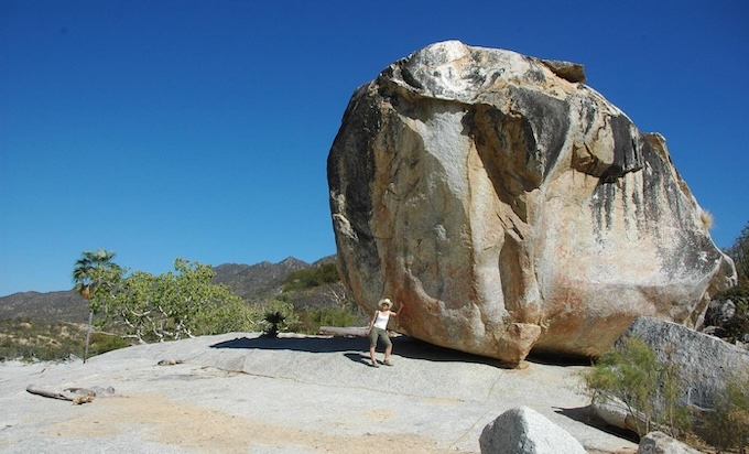 Baja California in the wild : Un monde préservé entre deux mers​ au Mexique