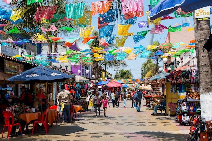 Baja California in the wild : Un monde préservé entre deux mers​ au Mexique