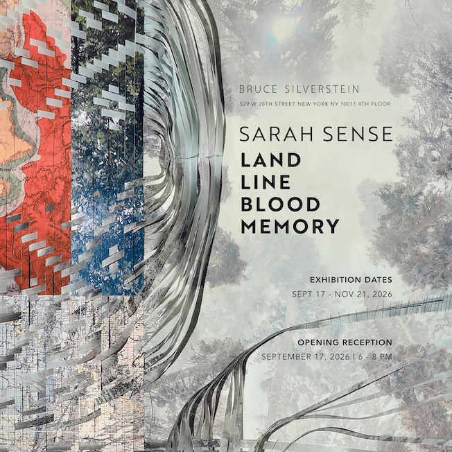 New-York, Bruce Silverstein Gallery : « Sarah Sense: Land, Line, Blood, Memory ». 17 sept - 21 nov 2026