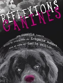 Avignon Off, théâtre du Cabestan : Réflexions canines, par compagnie des 100 Têtes (30) Avignon Off, théâtre du Cabestan : Réflexions canines, par compagnie des 100 Têtes (30)
