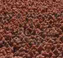 Antony Gormley