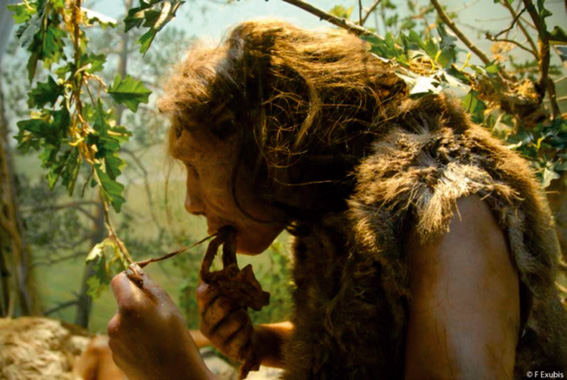 Derrière la paroi : la grotte Chauvet - Pont d’Arc révélée par la 3D. Exposition temporaire du 10 février au 30 novembre, musée de Préhistoire des gorges du Verdon, Alpes de Haute-Provence Derrière la paroi : la grotte Chauvet - Pont d’Arc révélée par la 3D. Exposition temporaire du 10 février au 30 novembre, musée de Préhistoire des gorges du Verdon, Alpes de Haute-Provence