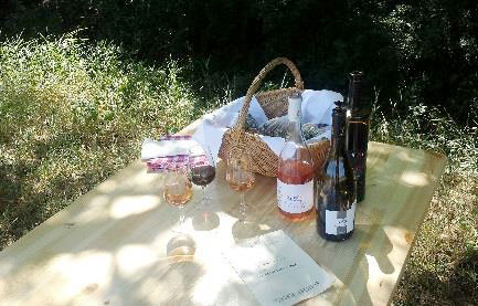 Week-end œnophile de l'appelation Grignan-les-Adhémar en Drôme Provençale