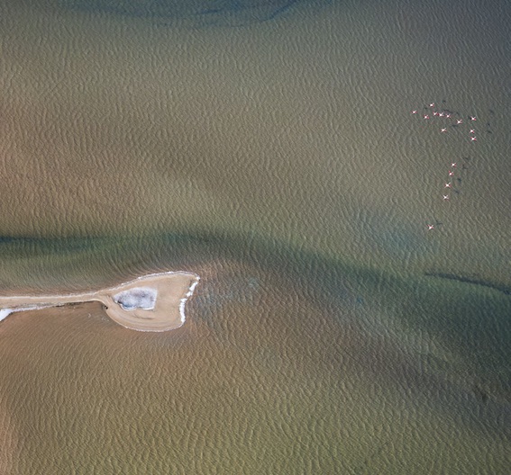 Camargue © F.Larrey