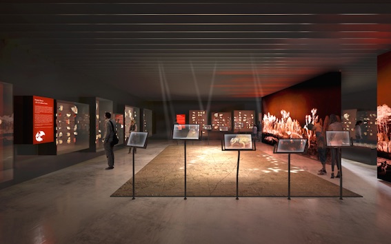 Réouverture du musée de Lodève le 4 juillet 2018