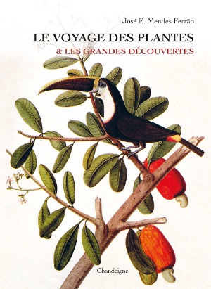 Rayol Canadel sur mer, Domaine du Rayol : exposition « Le voyage des plantes & les Grandes Découvertes » du 18 octobre au 25 novembre 2018