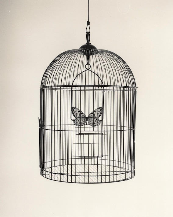 Chema Madoz, Galerie Esther Woerdehoff, Paris, du 26 avril au 29 mai 2019