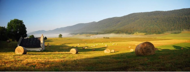 La « Campagne » à la Montagne sur le territoire du Vercors : à la découverte des fermes et du pastoralisme