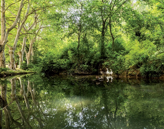 Les rendez-vous estivaux 2020 d'Uzès, Gard