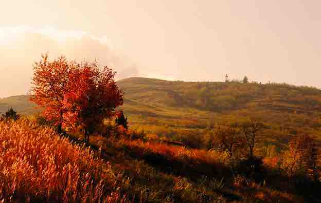 © Henri Derus © Henri Derus