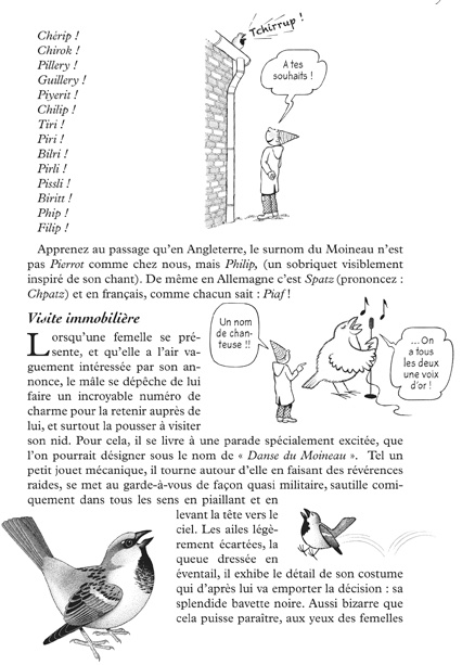 Pierrot amoureux, édition La Hulotte, « pour tout savoir sur le moineau ».