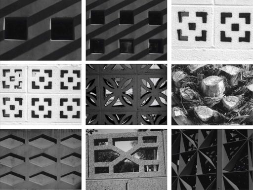 Clara Jolly La Pavadita, 2018 Photogrammes tirés du film Film en 16 mm, 2’30, pellicule orthochromatique agfa st8, photographies argentiques Courtesy de l’artiste