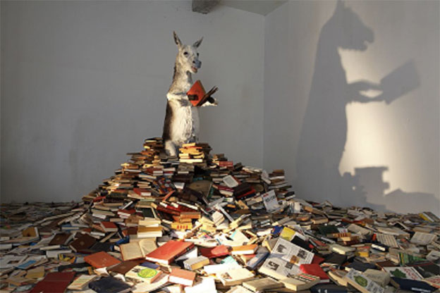 Pilar Albarracín Pilar Albarracín