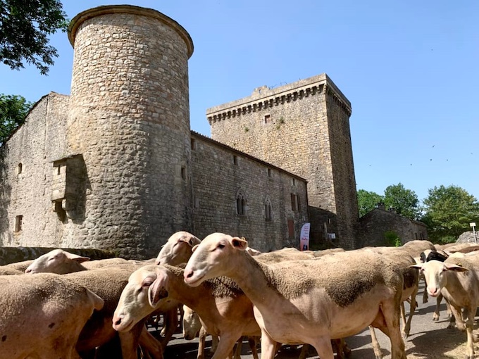 « La Nuit des Châteaux » au Viala du Pas de Jaux (12)