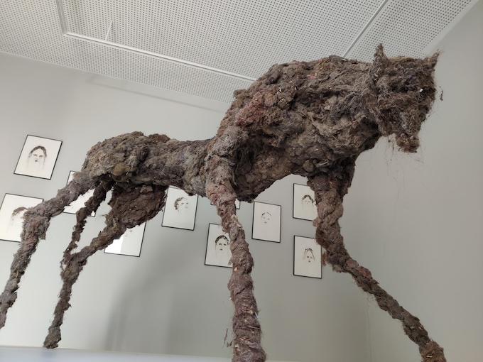 Mende, Occitanie : le Musée du Gévaudan a ouvert ses portes le 18 octobre 2022