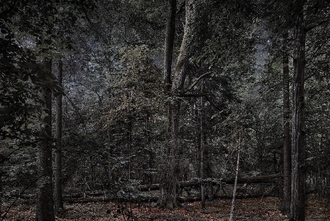 Thierry Cohen. Carbon Catcher # 20, 2018 - 229 x 154 cm. Crédit photo : Thierry Cohen Thierry Cohen. Carbon Catcher # 20, 2018 - 229 x 154 cm. Crédit photo : Thierry Cohen