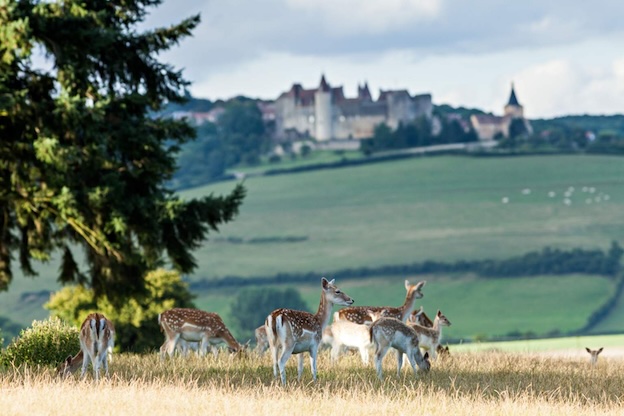 Le Château Sainte Sabine en Bourgogne décroche sa cinquième Étoile !