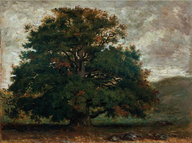 Théodore Rousseau, Un Arbre dans la forêt de Fontainebleau, 1840-1849, huile sur papier marouflé sur toile, 40,4×54,2 cm. Victoria and Albert Museum, Londres, Royaume-Uni.