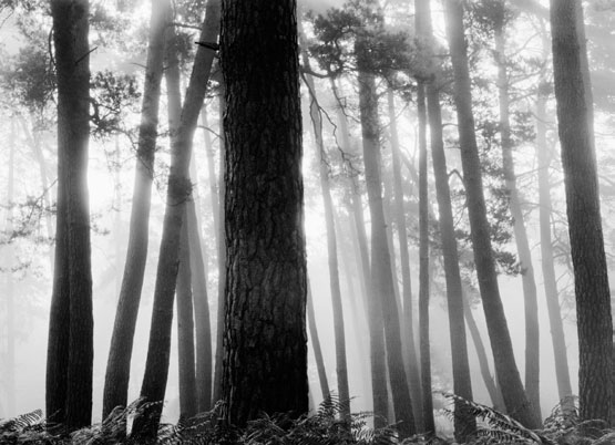 Chambord, 2014 © Bae Bien-U Chambord, 2014 © Bae Bien-U