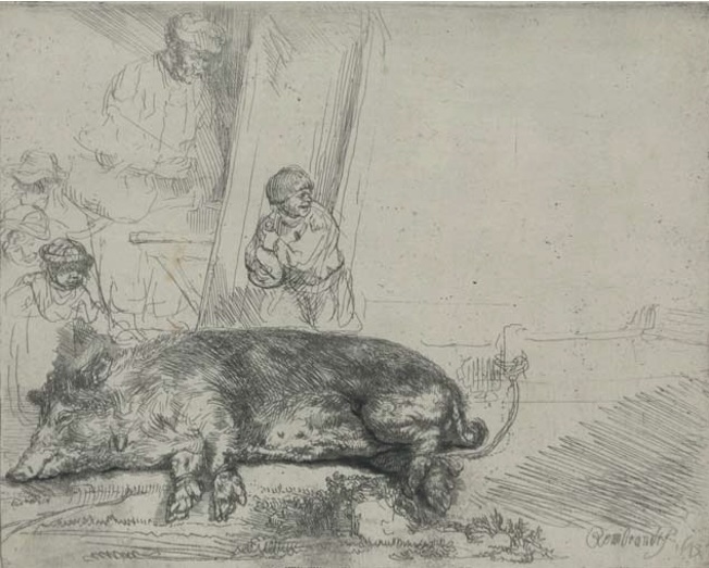 Le cochon. Eau-forte et pointe sèche, premier état sur deux, 1643 © Collection Frits Lugt, Fondation Custodia, Paris