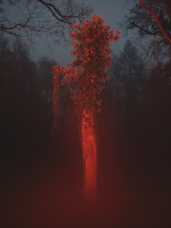 MRO-Foundation @ INLAND Polly Tootal Red Totem Tree