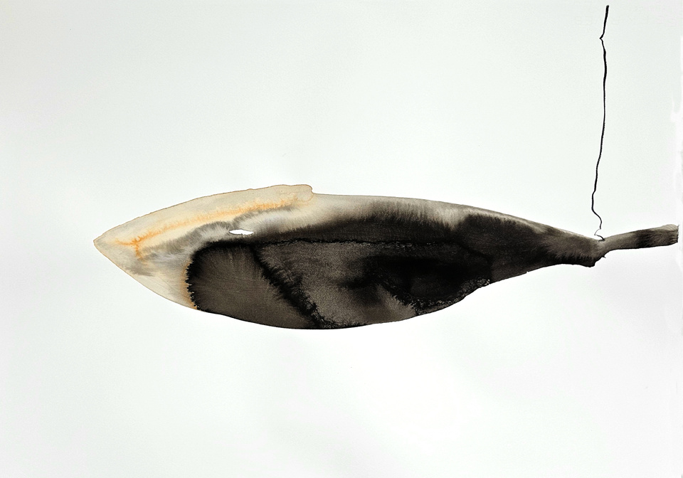 Paris, Galerie Marie-Claude Duchosal  : « Sorti de La Nuit ». Patricia Erbelding. Du 7 au 29 novembre 2025