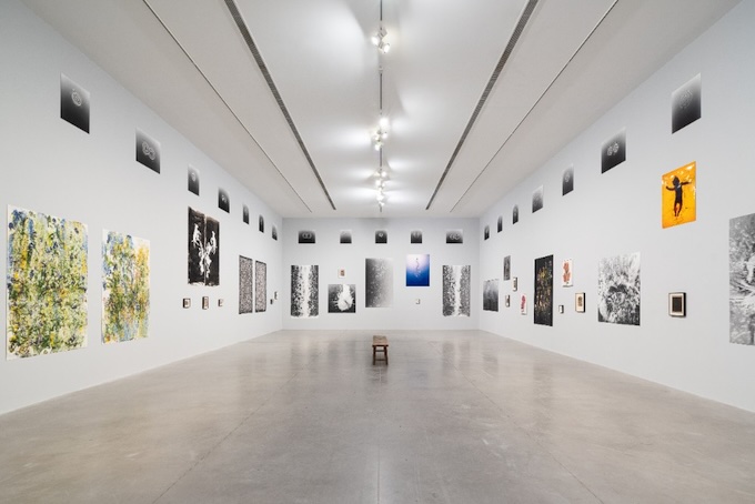 Vue de l'exposition ARK d'Adam Fuss © Stephane Aboudaram - wearecontents Vue de l'exposition ARK d'Adam Fuss © Stephane Aboudaram - wearecontents