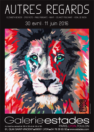 «Autres Regards», galerie Estades Lyon, du 30 avril au 11 juin 2016