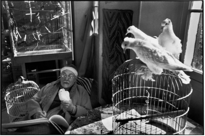 Henri Cartier-Bresson, Matisse et ses pigeons milanais à Vence, vers 1943-1944, Don Henri Cartier-Bresson, 1994