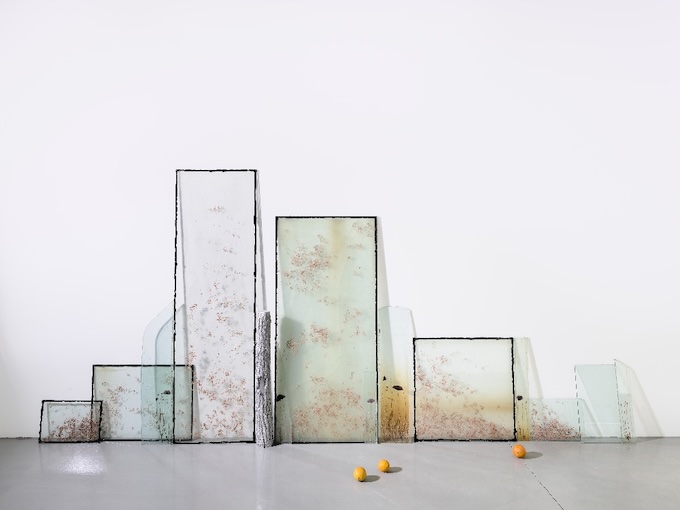 Vue de l'exposition personnelle de Wilfrid Almendra "Where the Sun Pauses" à la Kunstalle Lingen, 2025 © Photo : Roman Mensing