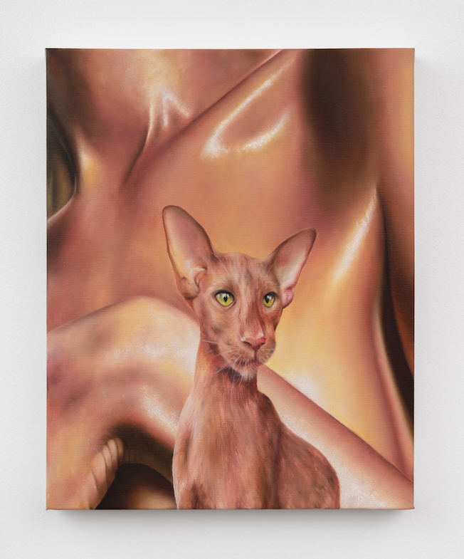 Margaux Valengin Wet Gold Passion, 2025 Oil on linen 51 x 41 cm - 20 x 16 in