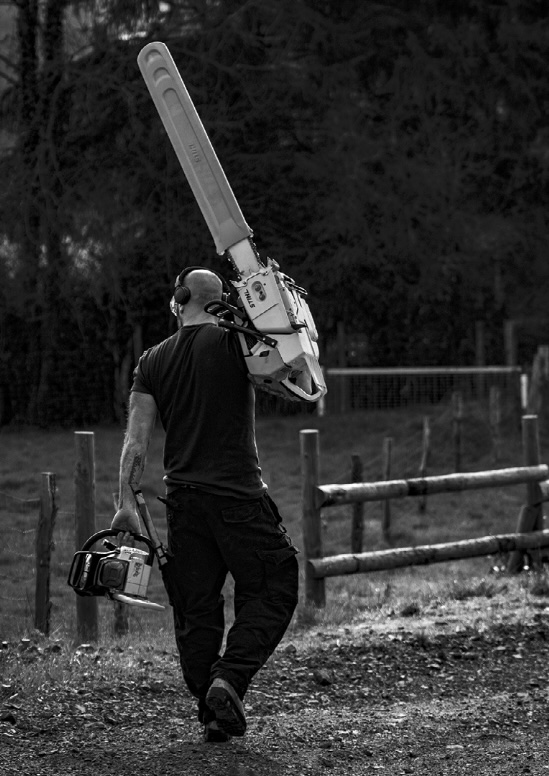 Stephane Cop © Bálint Pörneczi