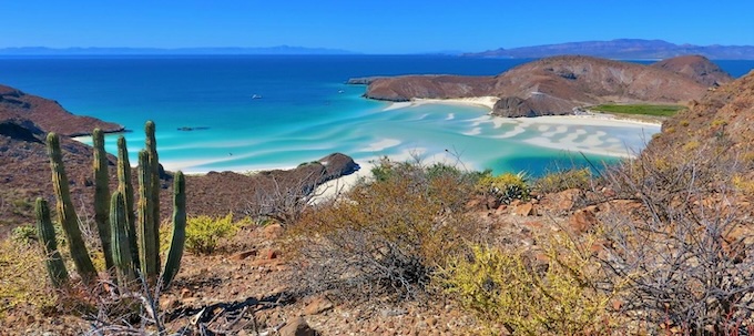 Baja California in the wild : Un monde préservé entre deux mers​ au Mexique