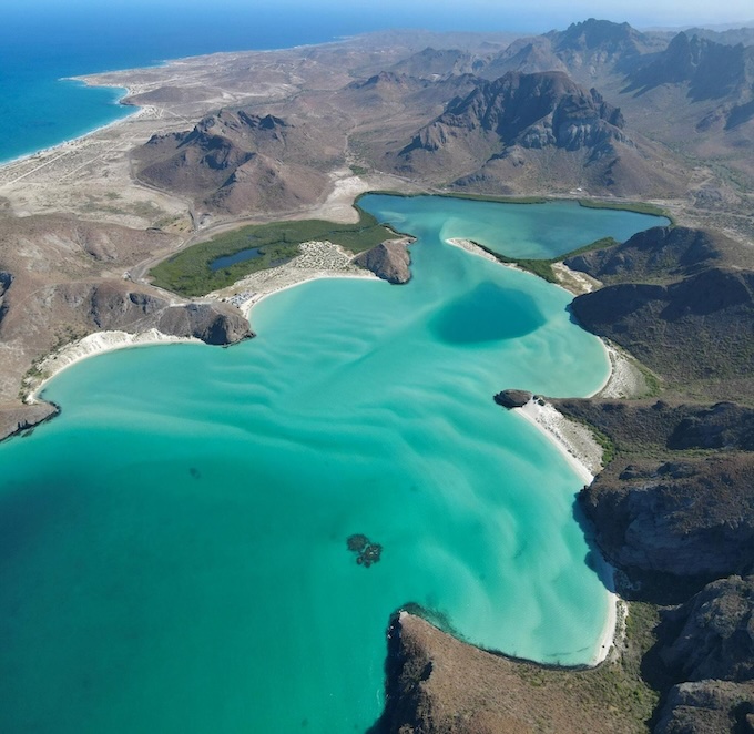 Baja California in the wild : Un monde préservé entre deux mers​ au Mexique