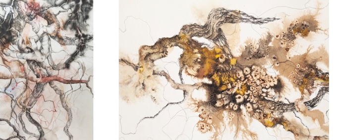 Charlotte Rodon, « Récits des sols »