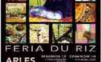 12-14 septembre - Arles : Féria du riz, culture et tradition se conjuguent pour le plus grand plaisir du visiteur.