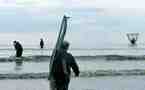 27/09/2008 - 27/09/2009 > Berck-sur-Mer, musée d'Opale-sud : Serge Lopez